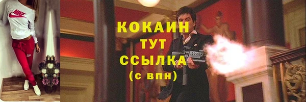 молекула духа Аркадак