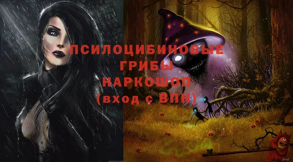 2c-b Алзамай