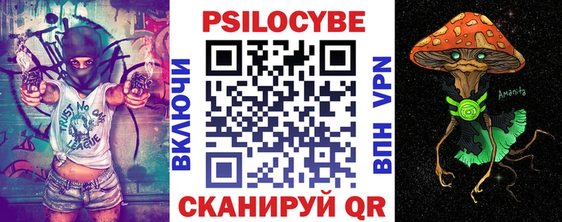 дарнет шоп Боготол Псилоцибиновые грибы мухоморы